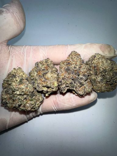 🇺🇸🇳🇱 Dutch Cali – Purple Punch (Larry OG x Granddaddy Purple)