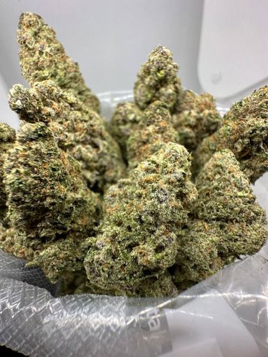 🇺🇸🇳🇱 Dutch Cali – White Truffle (95 Dead x Platinum Kush Mints)