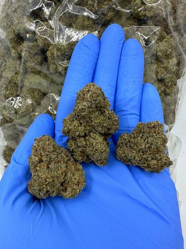 🇳🇱🇺🇸 Dutch Cali – Zkittlez x Rainbow 🍭🍬