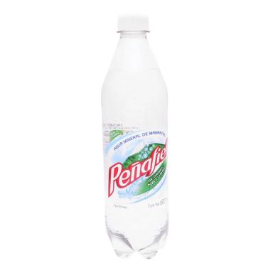 Agua Mineral Penafiel 600.0 ML