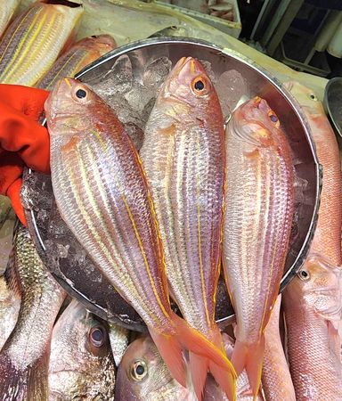 滾湯♨️本地紅衫魚🐟（約12兩）（3~4條）