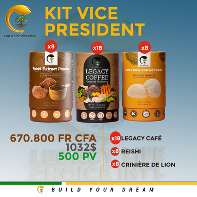 Kit VICE-PRÉSIDENT 
