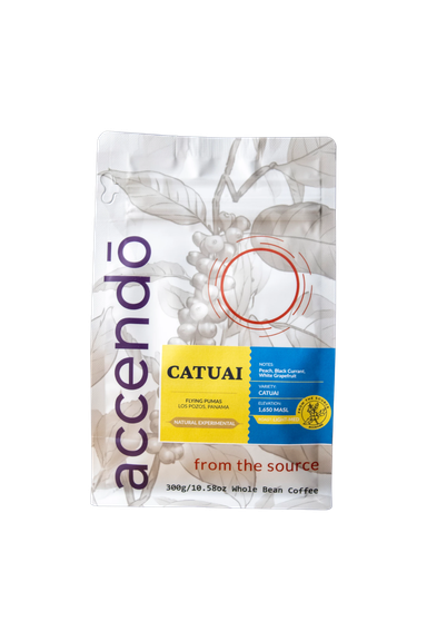 (Limited) Catuai Flying Pumas 300g / Catuai Flying Pumas 300g