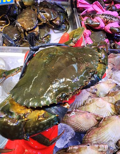 頂角膏蟹🦀(約13~14兩)(隻)