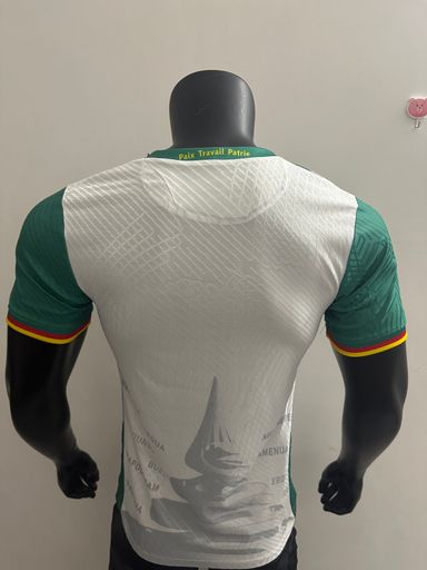 Cameroon latest short sleeve jersey 