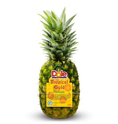 Philippines Dole Tropical Gold Pineapple