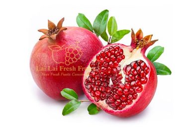 Peru Pomegranate (Large)