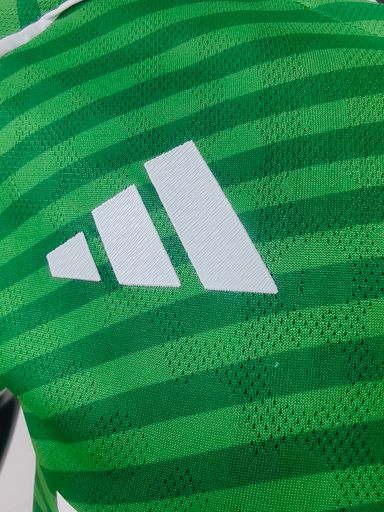 Newcastle United 2025/26 Away Shirt (Green / White)