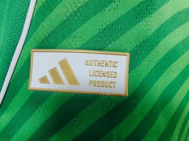 Newcastle United 2025/26 Away Shirt (Green / White)