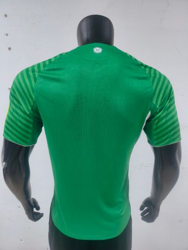 Newcastle United 2025/26 Away Shirt (Green / White)