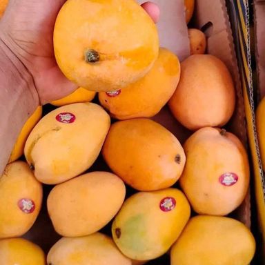🥭 Mangoes