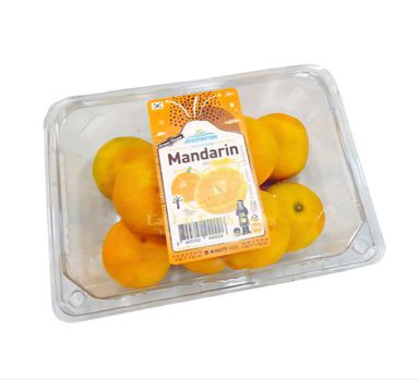 Korean Jeju Mikan