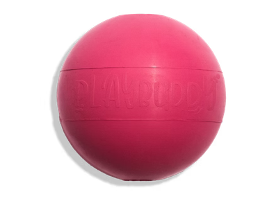 Ball PlayBuddy