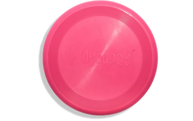Frisbee PlayBuddy