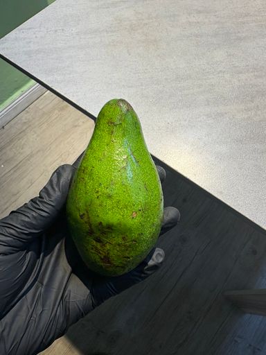 Local Avocado 1pc