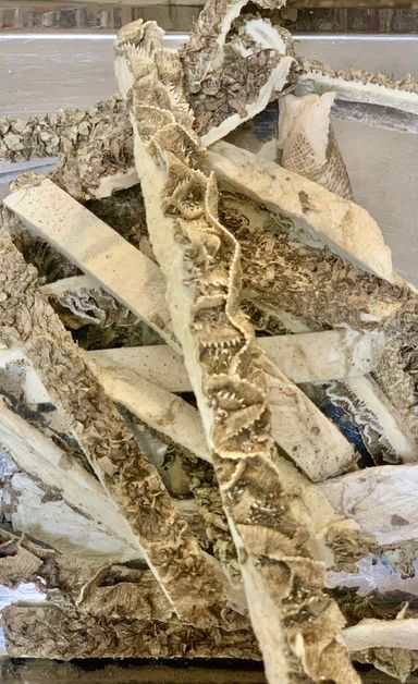 凍乾紐西蘭牛草肚 Freeze-dried grass-fed tripe