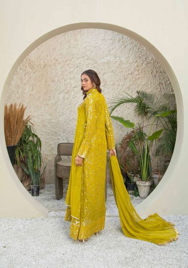 Party Wear 