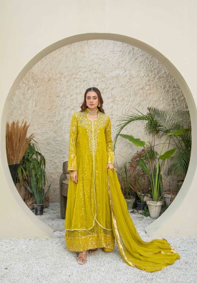 Party Wear 