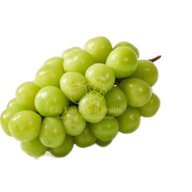Korean Shine Muscat 