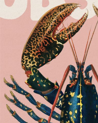 LOBSTER PLEASE