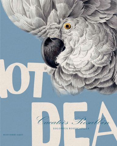 PUNK IS NOT DEAD