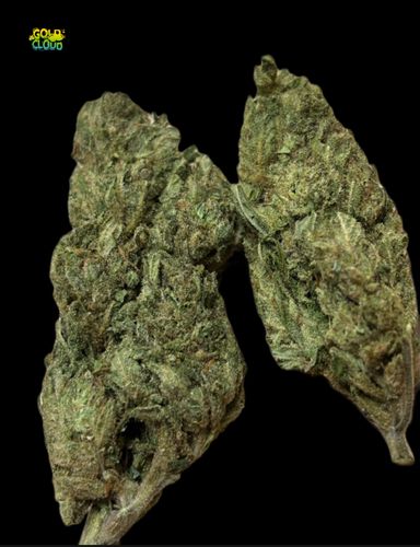 Green sherbet