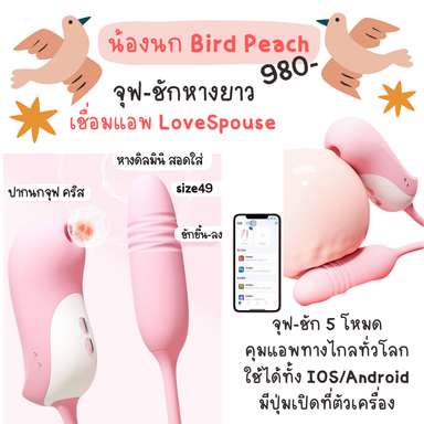 น้องนก Bird Peach ดูด-ชัก เชื่อมแอพ LoveSpouse
