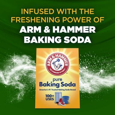 ARM & HAMMER Clean Scentsations In-Wash Scent Booster, Laundry Scent Booster Clean Meadow scent, 24 Oz