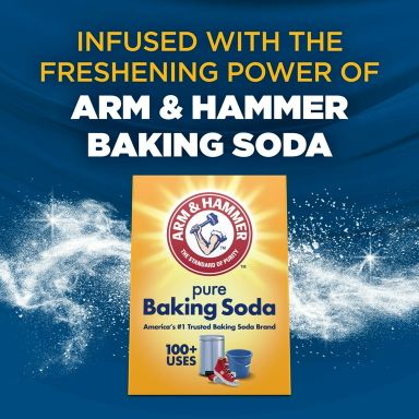ARM & HAMMER Clean Scentsations In-Wash Scent Booster, Laundry Scent Booster Purifying Waters scent, 24 Oz