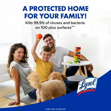 Lysol Disinfectant Sanitizing Antibacterial Spray, Deodorizing, Crisp Linen, 19 fl oz