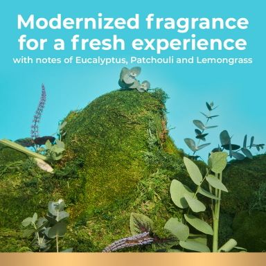 Irish Spring Original Clean Deodorant Bar Soap for Men, 3.7 oz