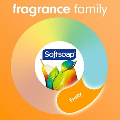 Softsoap Moisturizing Body Wash, All Skin Types, Juicy Pomegranate and Mango, 20 fl oz Bottle