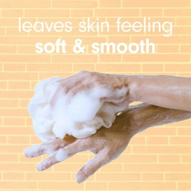 Softsoap Moisturizing Body Wash, All Skin Types, Juicy Pomegranate and Mango, 20 fl oz Bottle