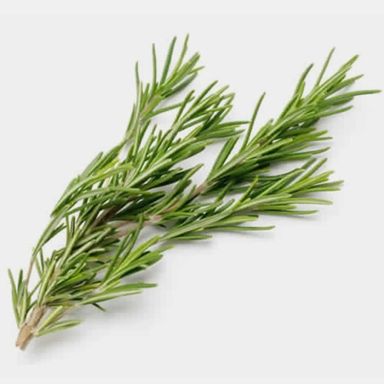 Fresh rosemary 