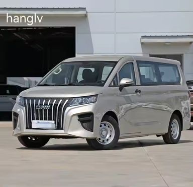 * Airport Transfer (Private)