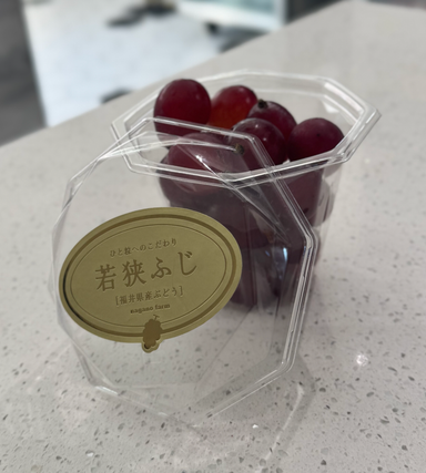 'Wakasa Fuji' Nagano Grapes | Takahama 高浜町