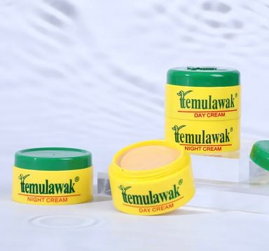Temulawak Day And Night Cream Dark Spot Removal Lightening Whiten Brightening Face Cream