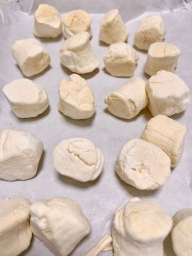 凍乾日本刺身級帶子 Freeze-dried Japanese sashimi-grade scallops