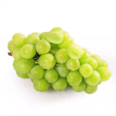 China Shine Muscat
