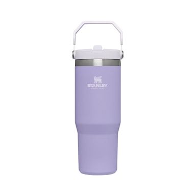 STANLEY IceFlow Flip Straw Tumbler 30oz