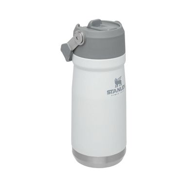STANLEY IceFlow Flip Straw Water Bottle 22oz