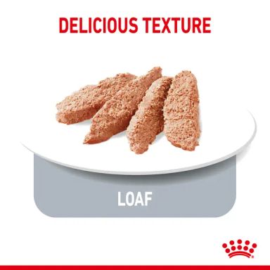Canine Care Nutrition Light Weight Care (WET FOOD &#8211; Pouches) 85g