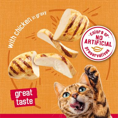 Friskies Prime Filets With Chicken in Gravy Wet Cat Food