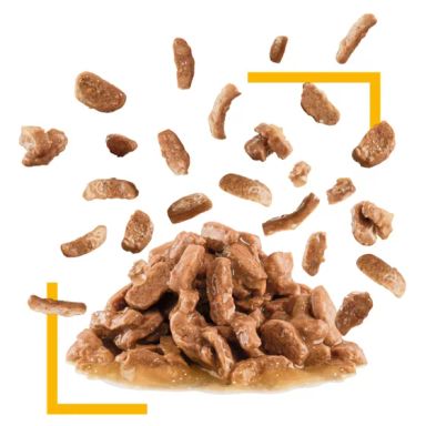 Feline Health Nutrition Sensory Taste Gravy (WET FOOD &#8211; POUCHES) 85G