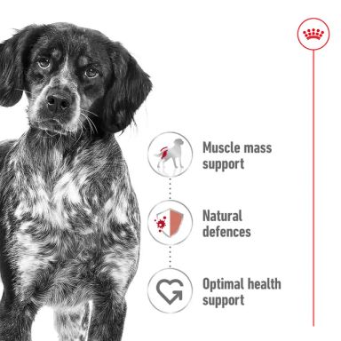 Size Health Nutrition Medium Puppy (Wet Food &#8211; Pouches) 140g