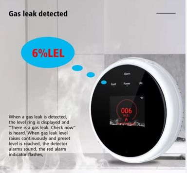 WI-FI SMART GAS ALARM