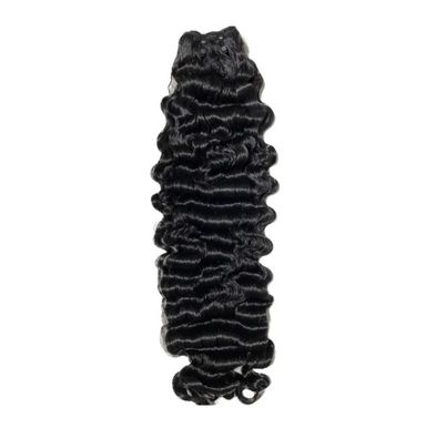 BURMESE CURLY 