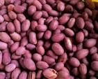 Roasted Gnuts - Half Kg