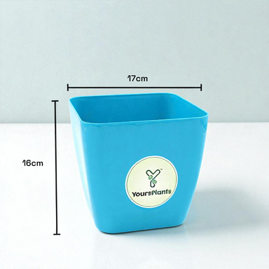 Siena Square Planters | Pack of 2 | Blue Pot