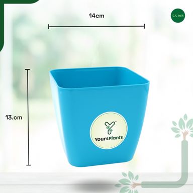 Siena Square Planters | Pack of 2 | Blue Pot